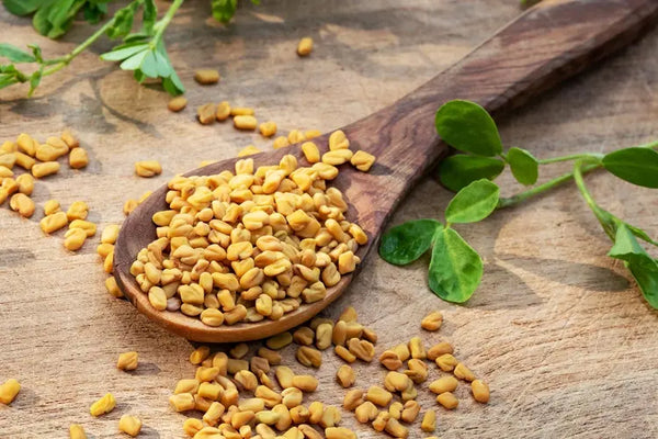 Fenugreek Seeds