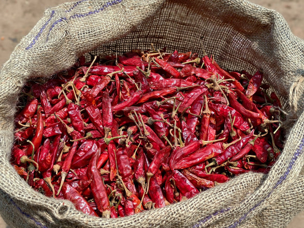 Dry Red Chilli