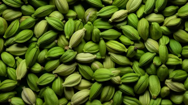 Cardamom